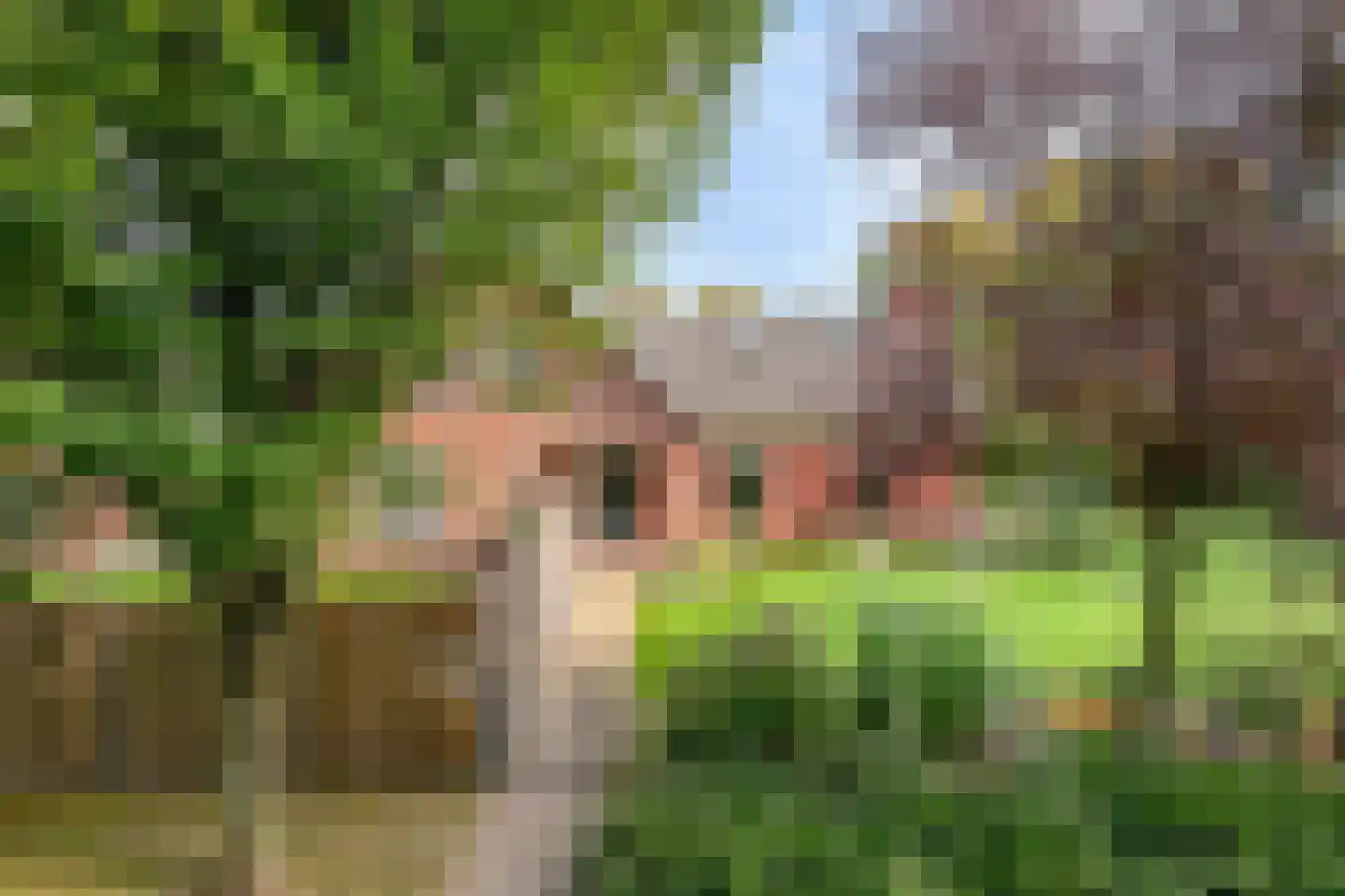 Busseltje 35 Reusel thumbnail 32