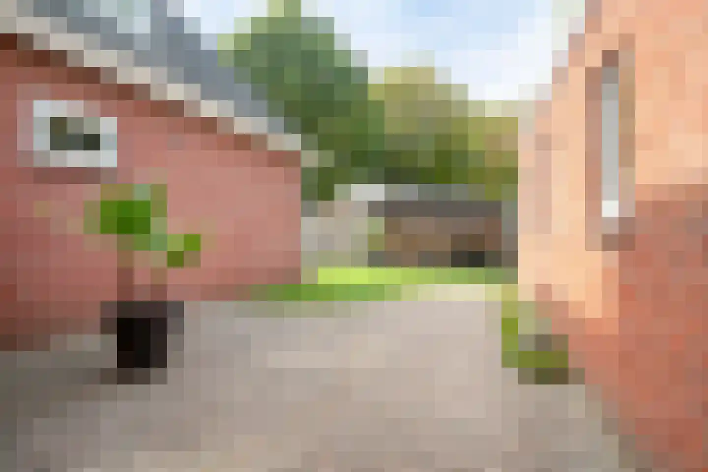 Busseltje 35 Reusel thumbnail 37
