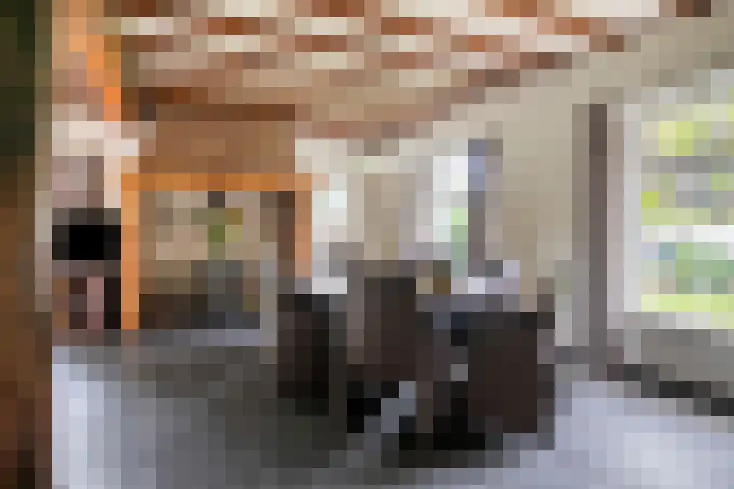 Busseltje 35 Reusel thumbnail 6