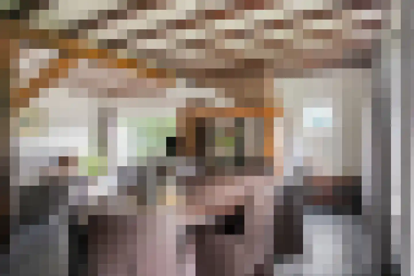 Busseltje 35 Reusel thumbnail 7