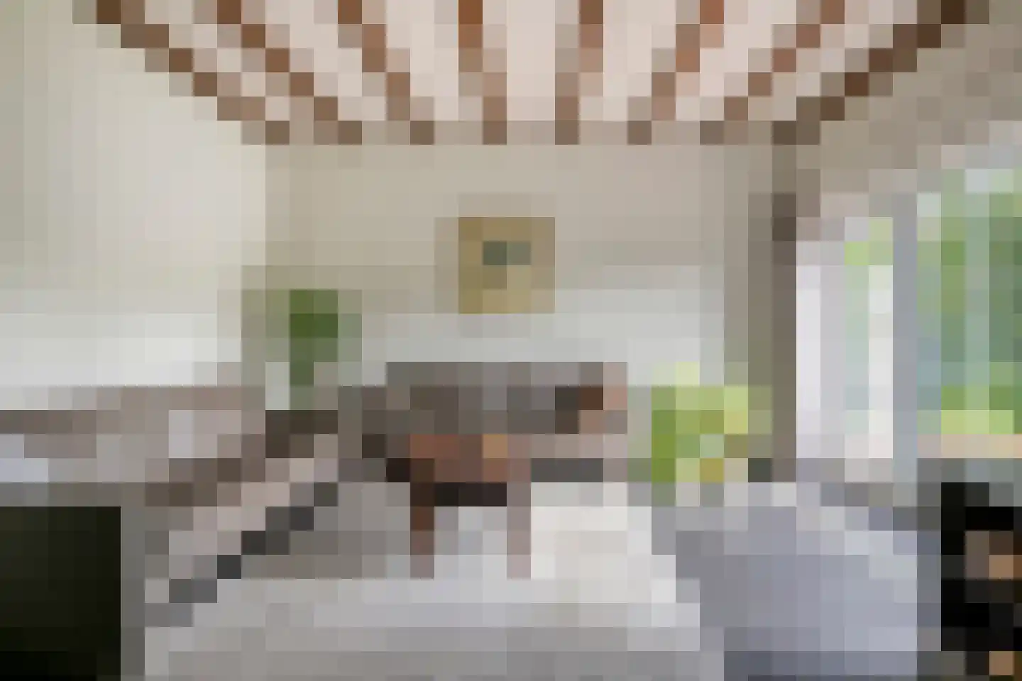 Busseltje 35 Reusel thumbnail 9