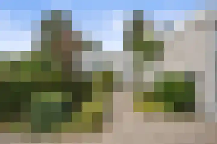 Bussemakerlaan 7 's-Hertogenbosch thumbnail 6