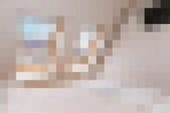 Bussenbongerd 21 Kesteren thumbnail 29