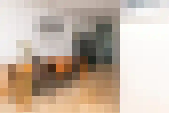 Bussenbongerd 21 Kesteren thumbnail 63
