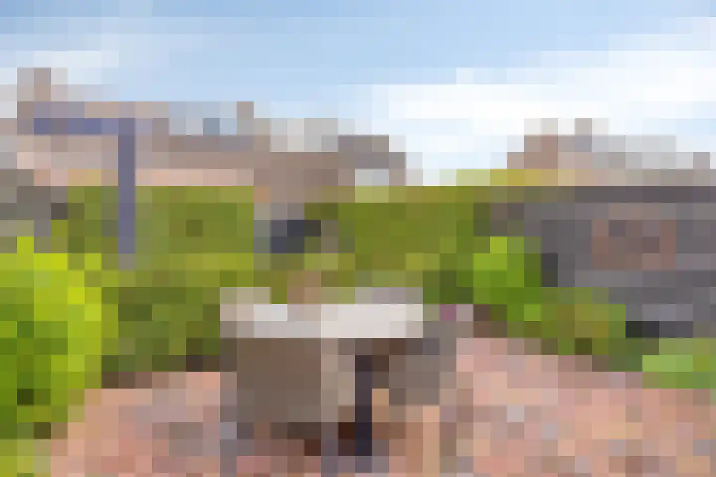 Bussenbongerd 22 Kesteren thumbnail 24