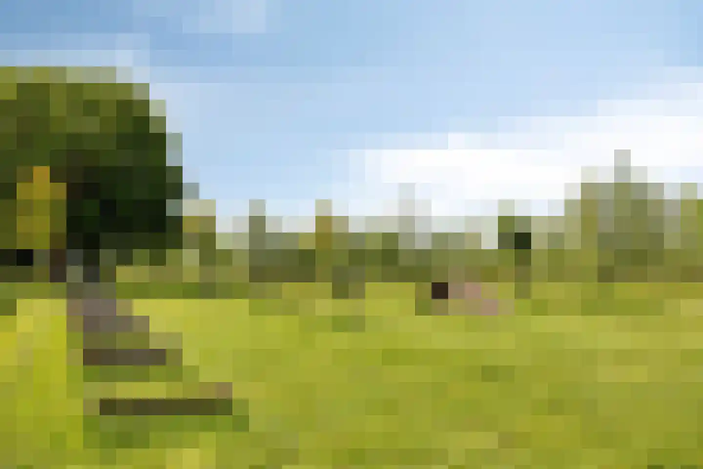 Bussenbongerd 22 Kesteren thumbnail 29