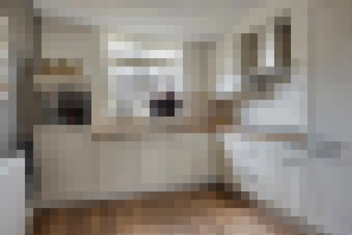 Bussenbongerd 22 Kesteren thumbnail 8