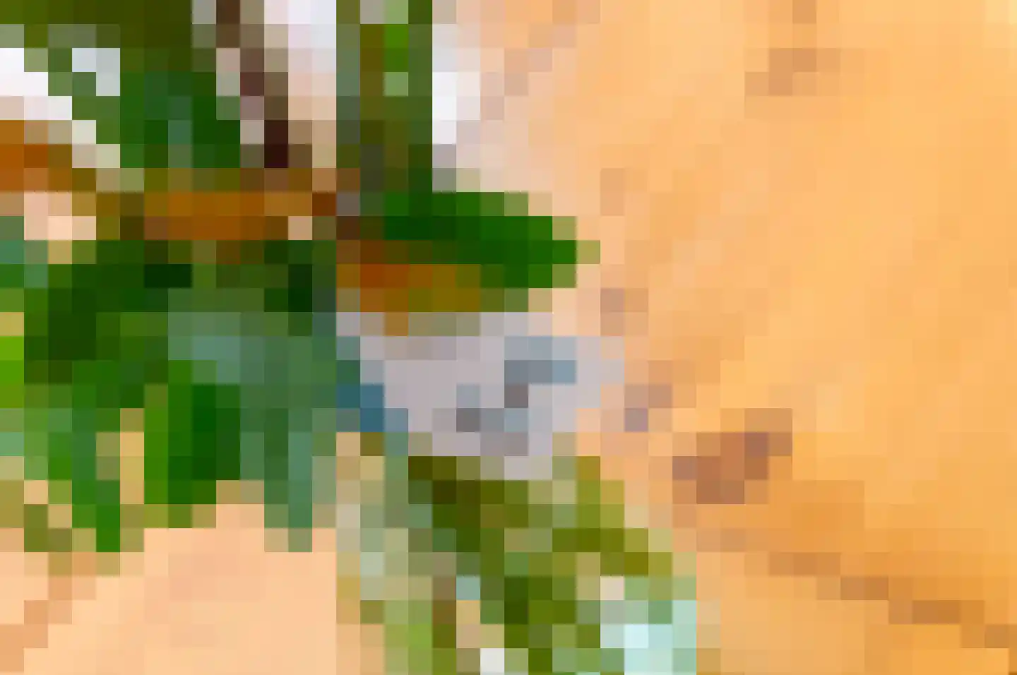 Bussenbongerd 30 Kesteren thumbnail 12