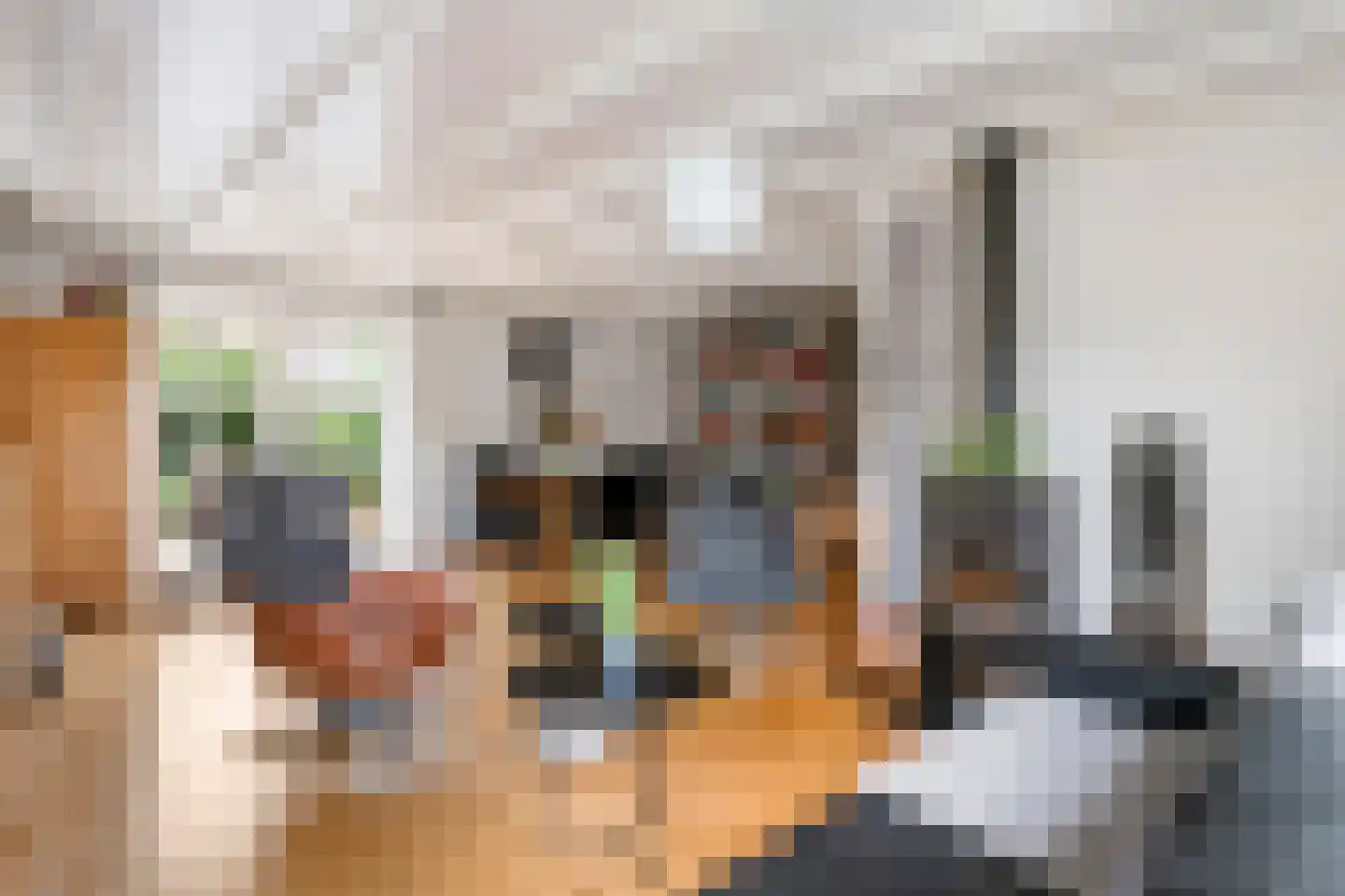 Bussenbongerd 30 Kesteren thumbnail 16