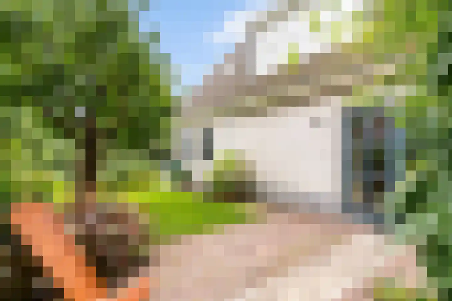 Bussenbongerd 30 Kesteren thumbnail 52
