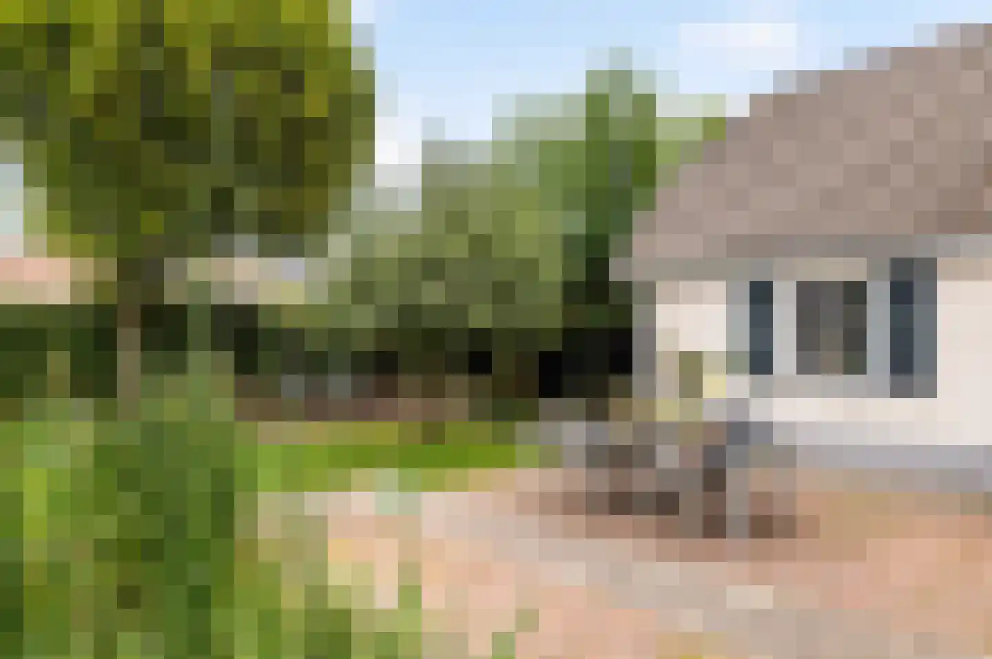 Bussenbongerd 30 Kesteren thumbnail 53