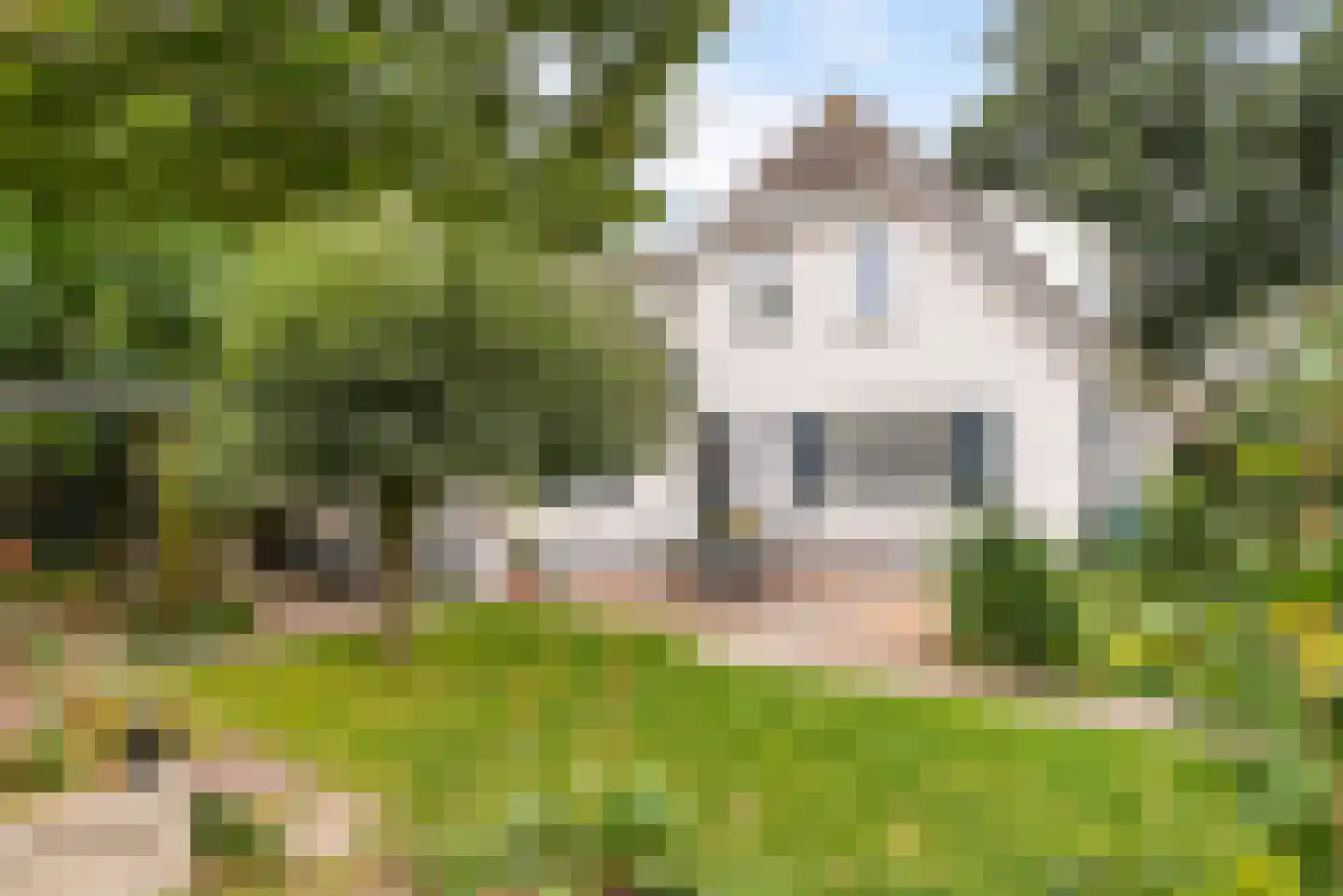 Bussenbongerd 30 Kesteren thumbnail 56