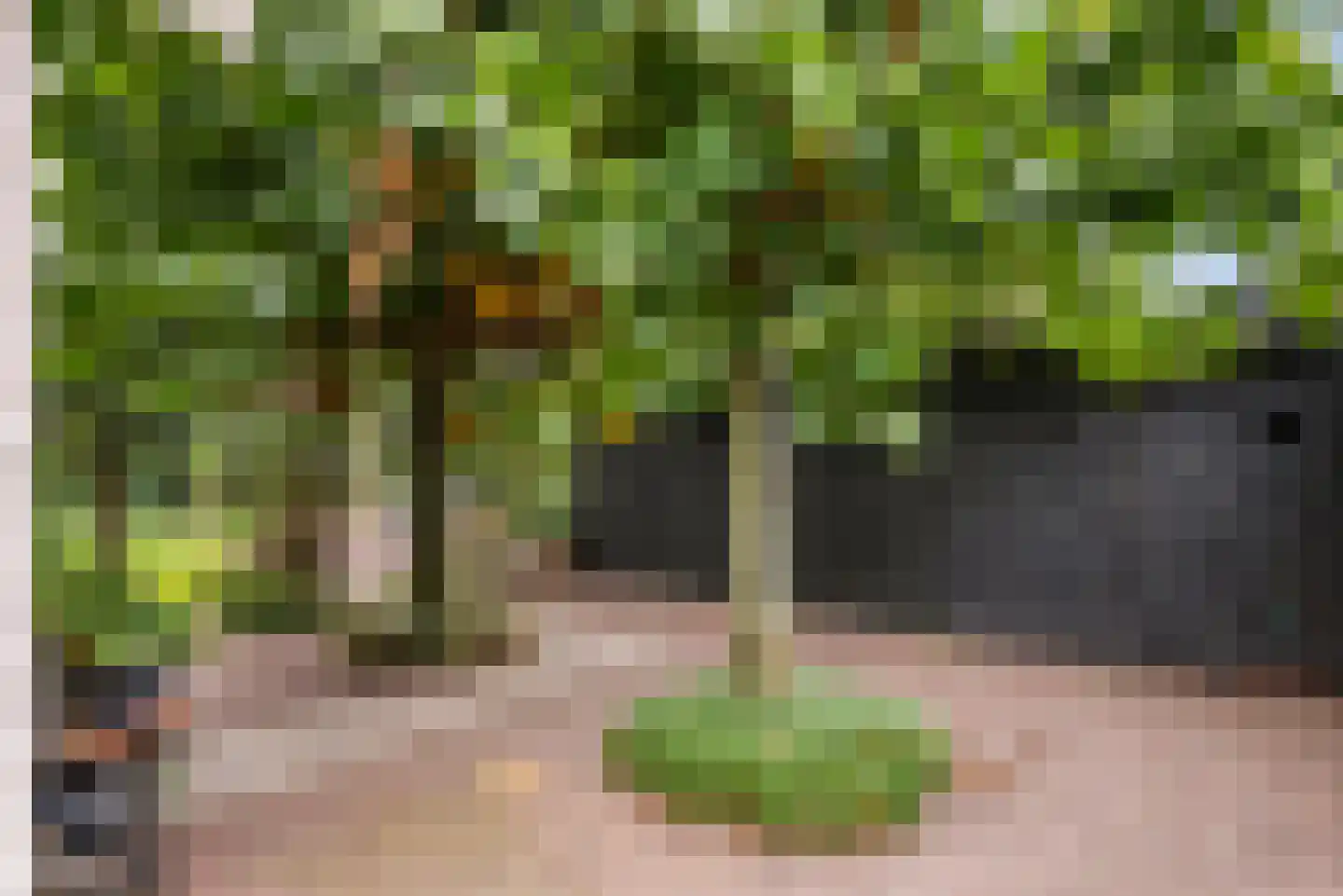 Bussenbongerd 30 Kesteren thumbnail 57
