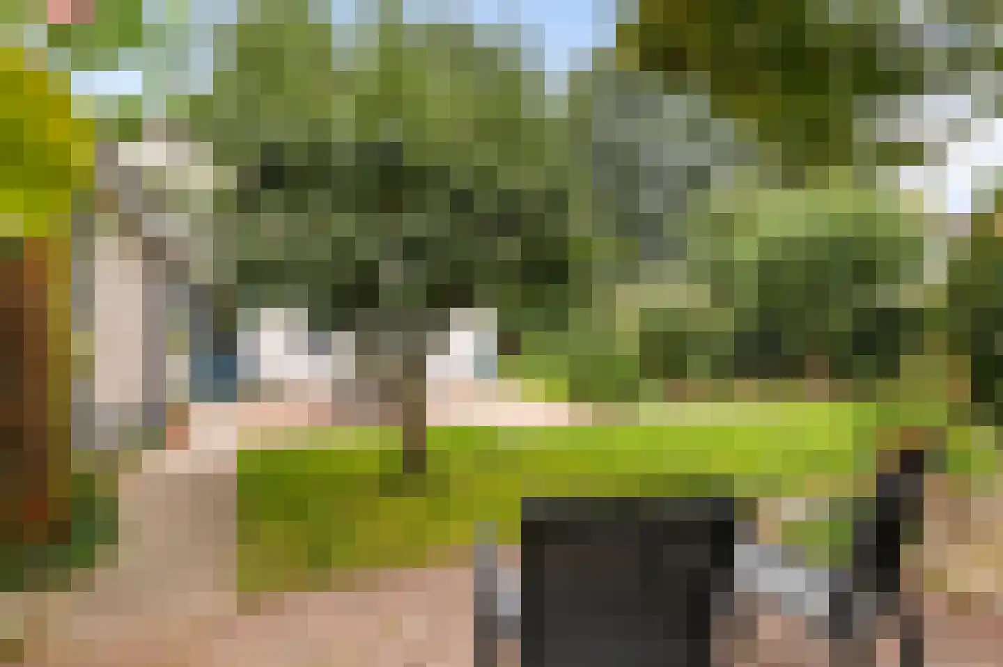 Bussenbongerd 30 Kesteren thumbnail 58