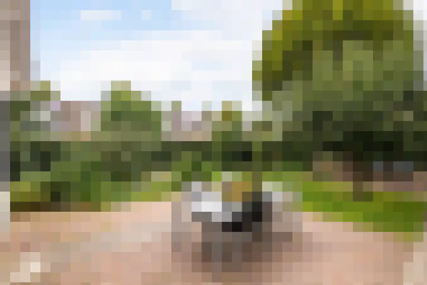 Bussenbongerd 30 Kesteren thumbnail 59