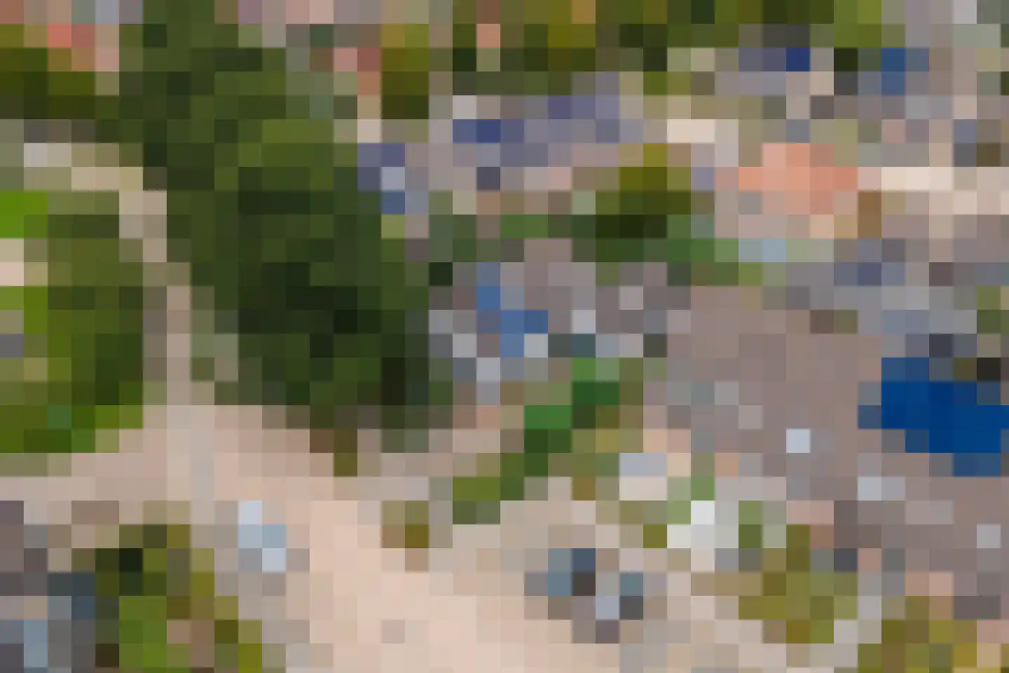 Bussenbongerd 30 Kesteren thumbnail 6