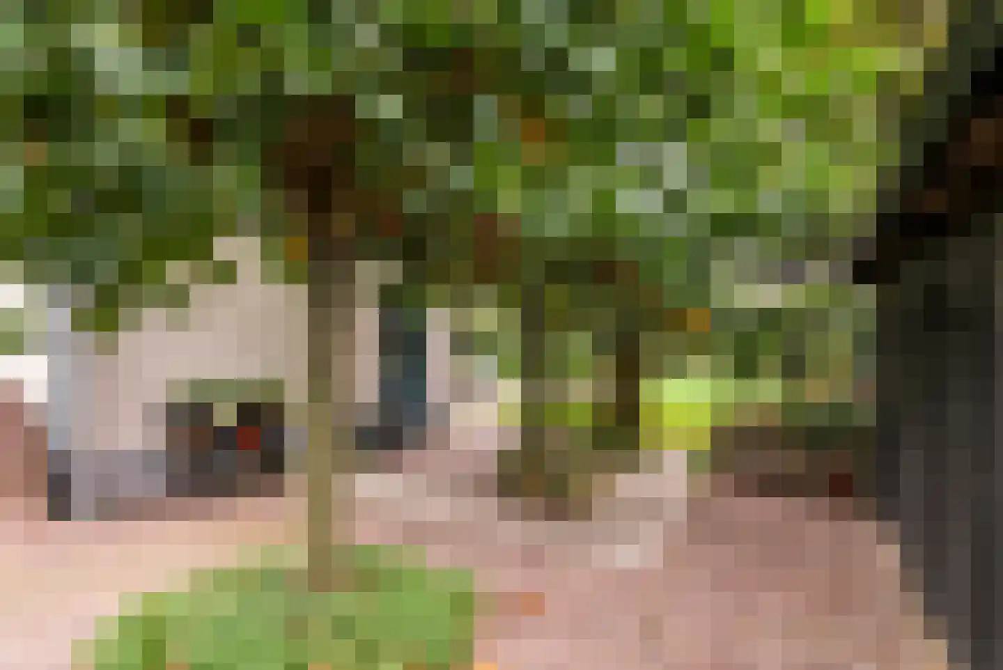 Bussenbongerd 30 Kesteren thumbnail 60