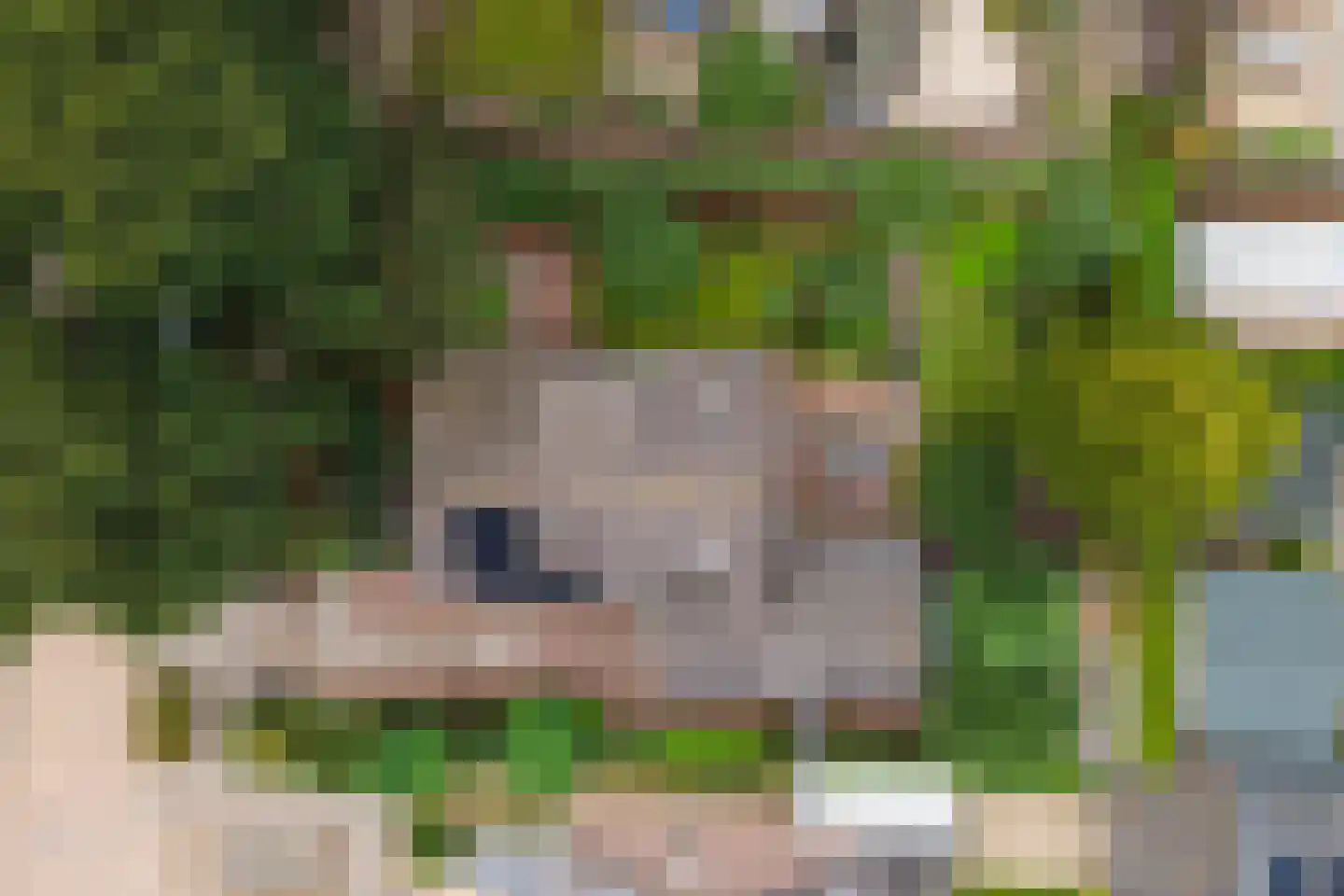 Bussenbongerd 30 Kesteren thumbnail 62