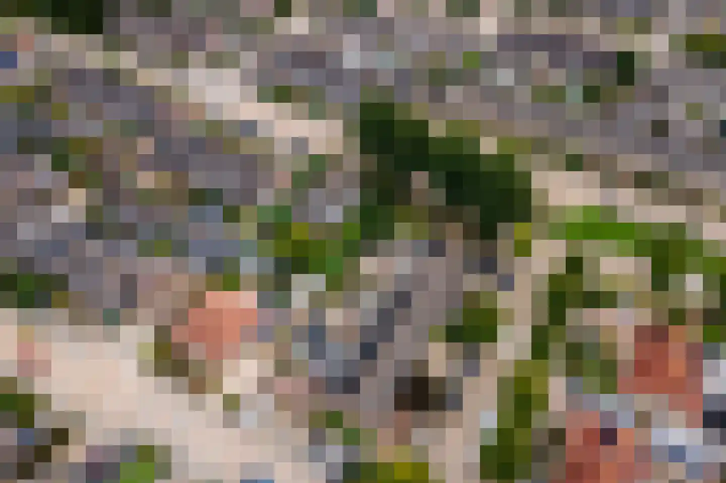 Bussenbongerd 30 Kesteren thumbnail 64