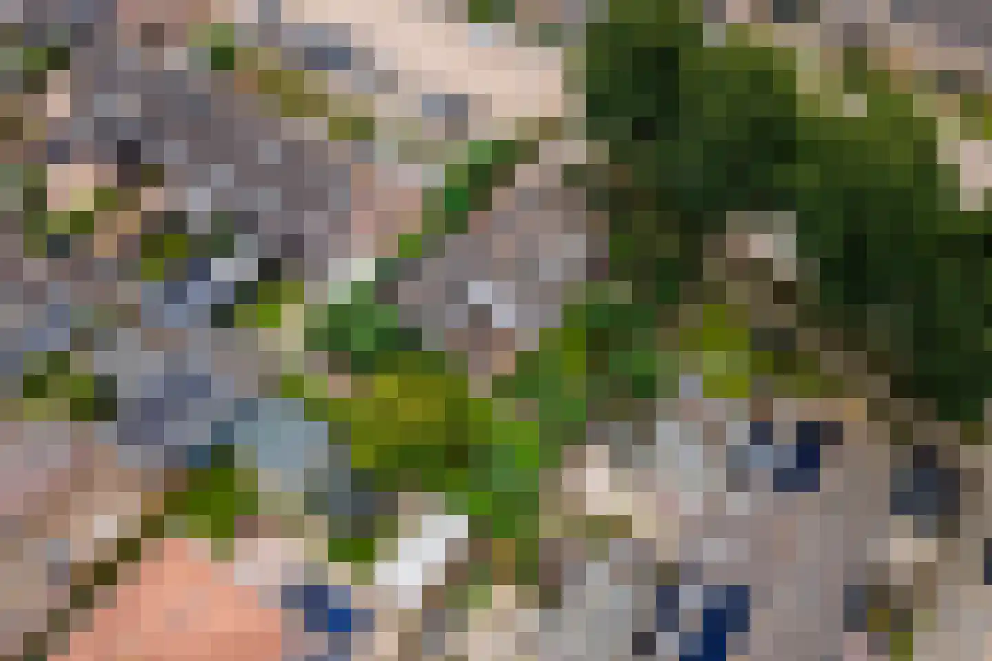 Bussenbongerd 30 Kesteren thumbnail 65