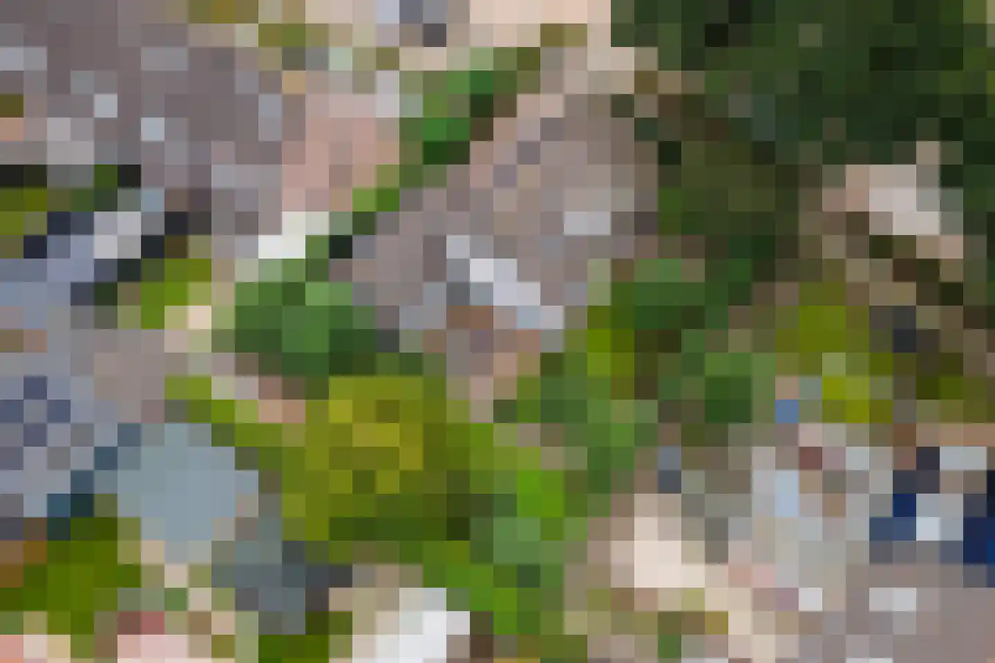 Bussenbongerd 30 Kesteren thumbnail 66