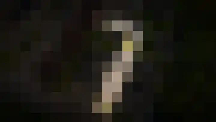 Bussenbongerd 4 Kesteren thumbnail 37