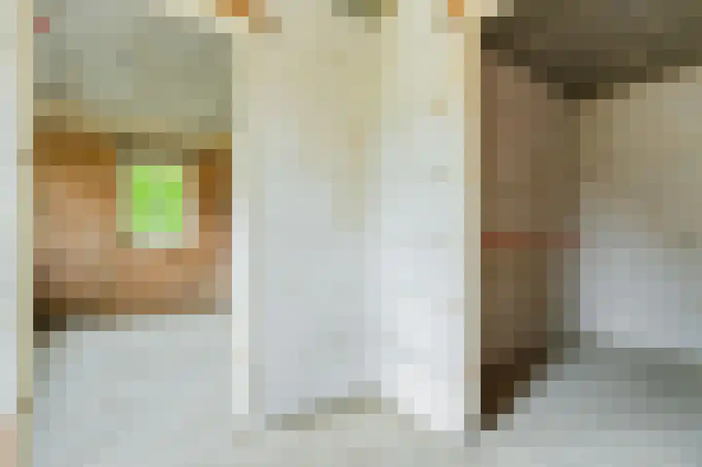 Bussenerweg 1 c Kerkdriel thumbnail 16