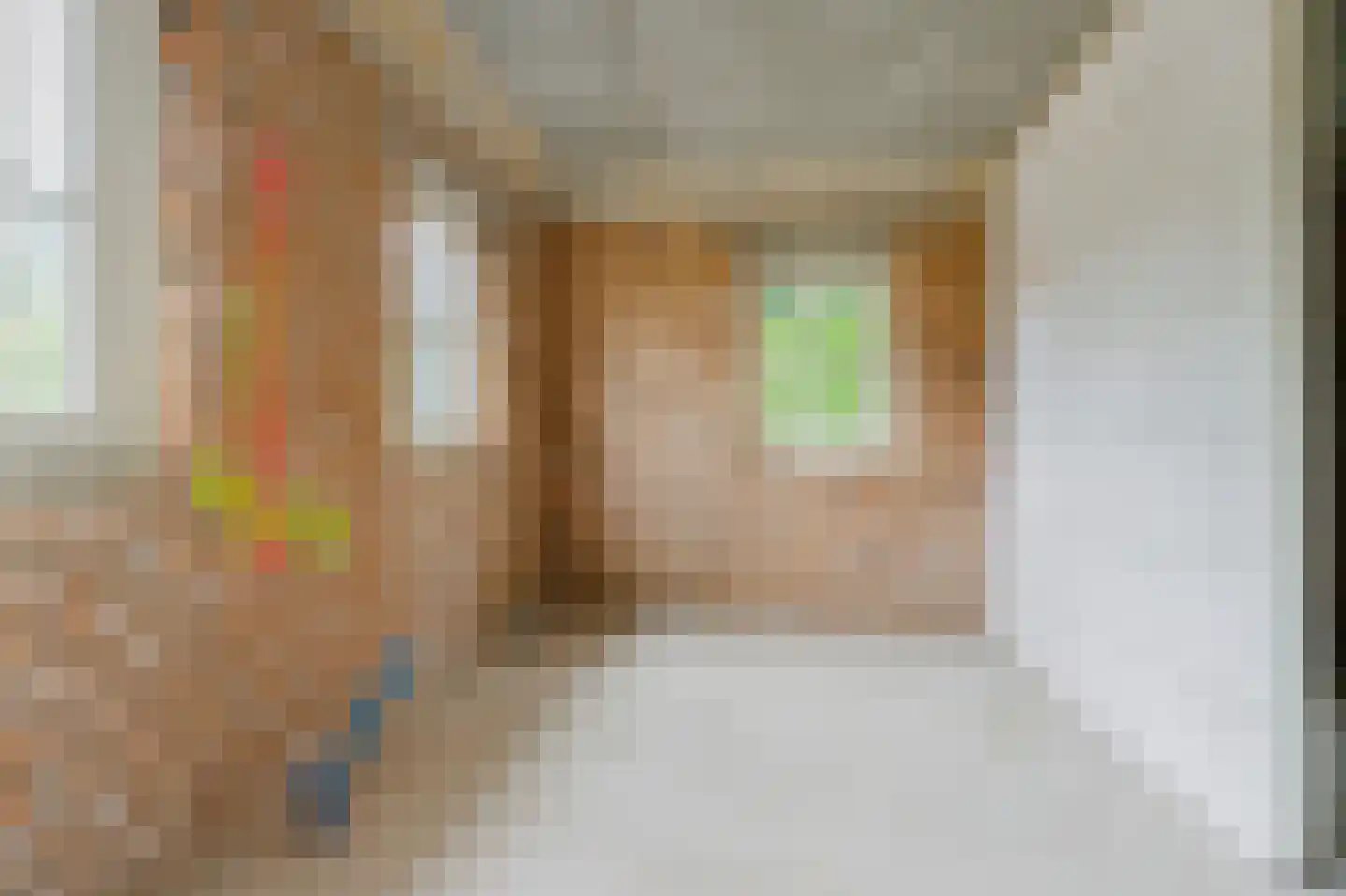 Bussenerweg 1 c Kerkdriel thumbnail 17