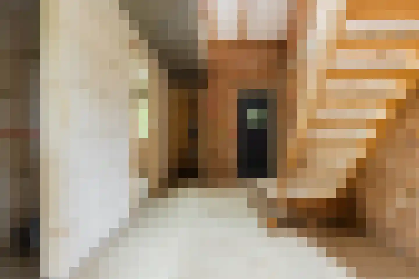 Bussenerweg 1 c Kerkdriel thumbnail 25