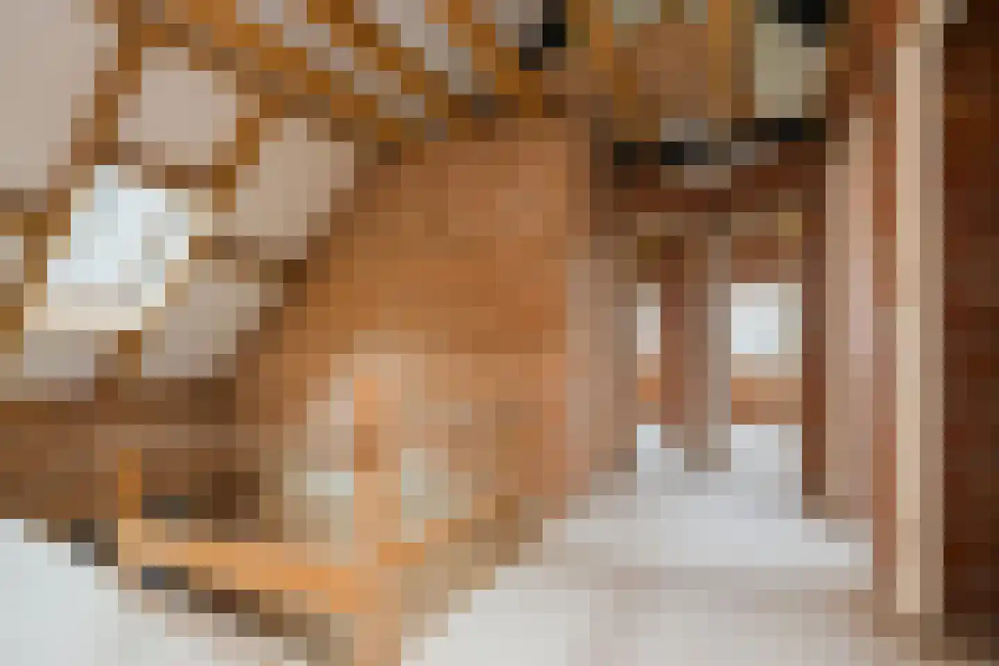 Bussenerweg 1 c Kerkdriel thumbnail 26