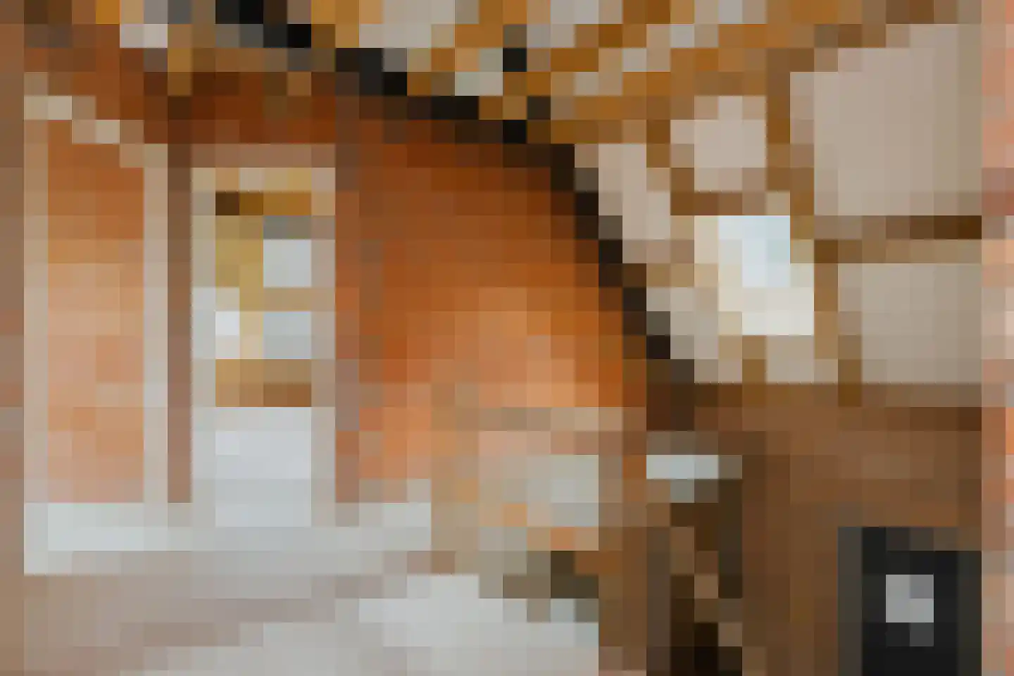 Bussenerweg 1 c Kerkdriel thumbnail 28