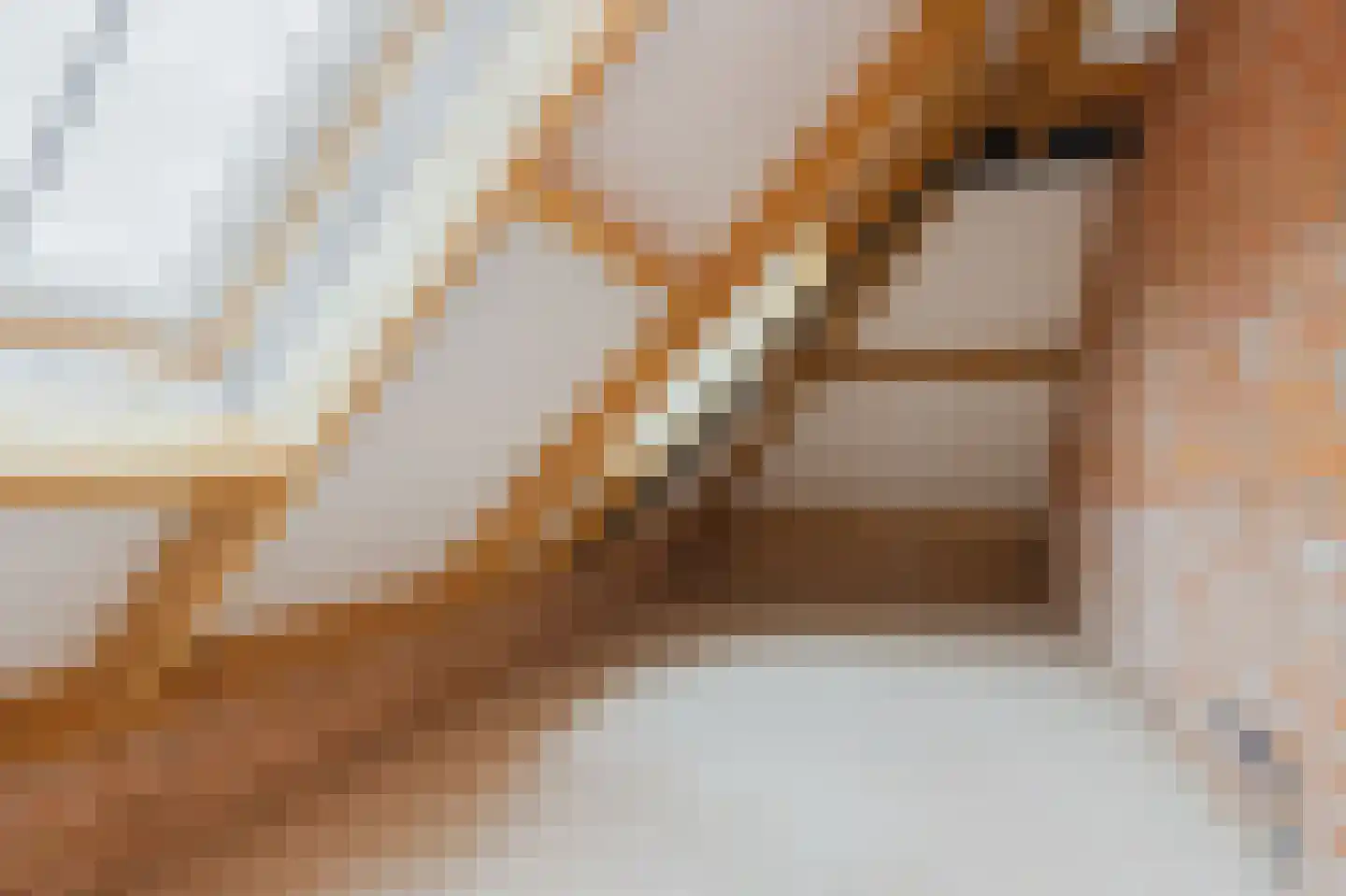 Bussenerweg 1 c Kerkdriel thumbnail 35