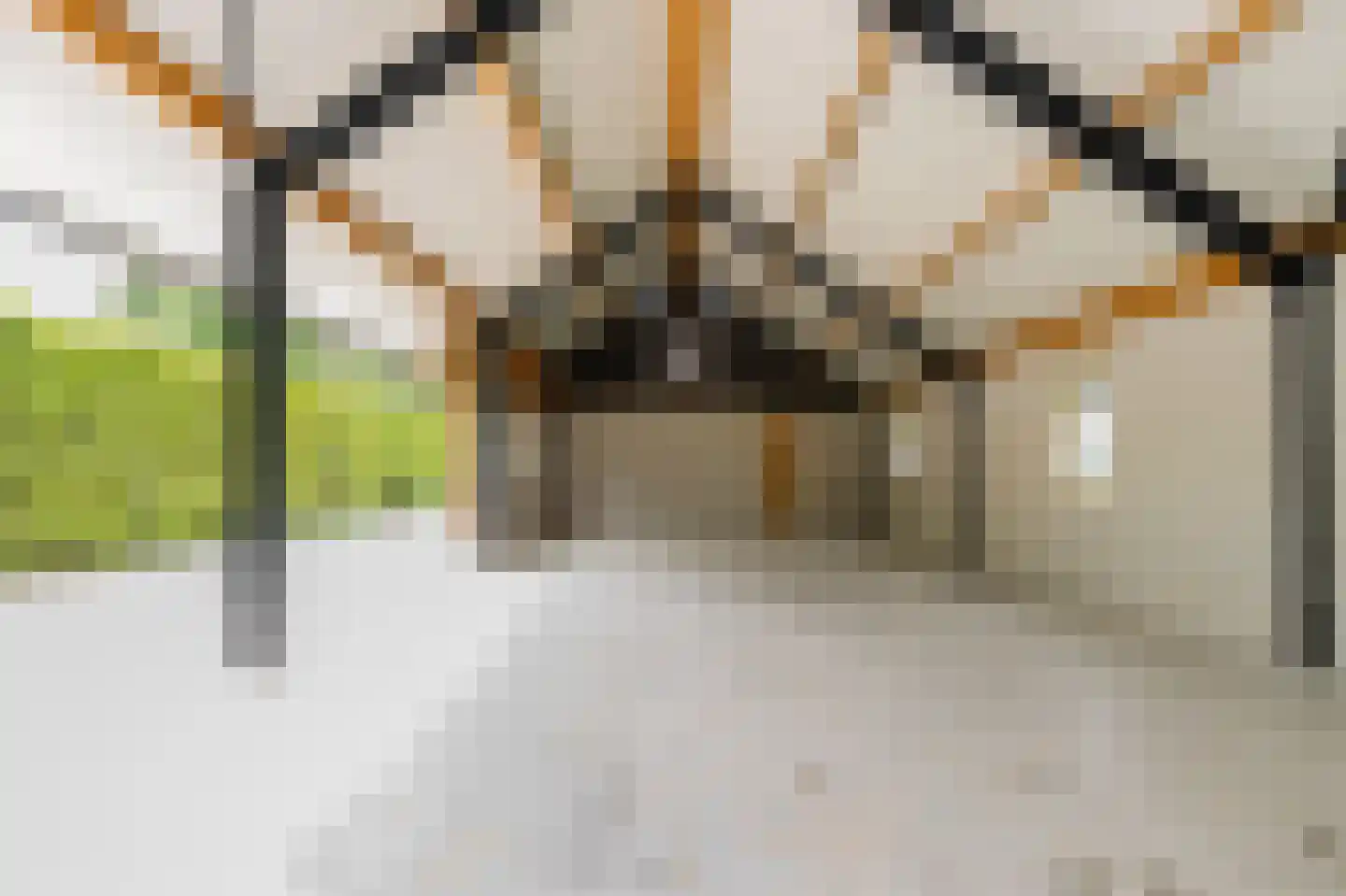 Bussenerweg 1 c Kerkdriel thumbnail 46