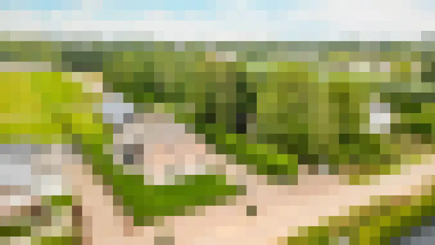 Bussenerweg 1 c Kerkdriel thumbnail 60