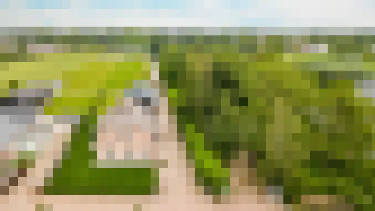 Bussenerweg 1 c Kerkdriel thumbnail 61