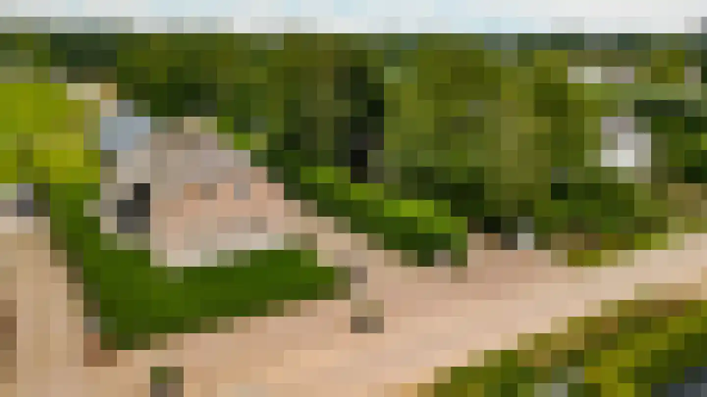 Bussenerweg 1 c Kerkdriel thumbnail 62