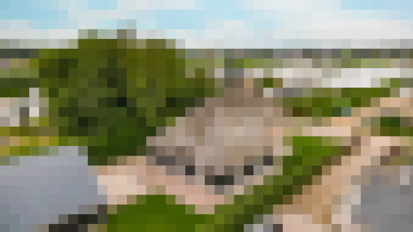 Bussenerweg 1 c Kerkdriel thumbnail 63