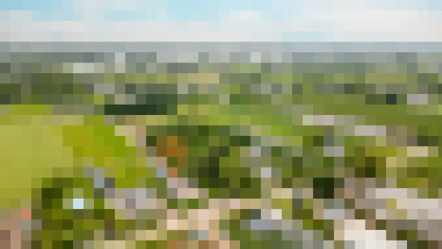 Bussenerweg 1 c Kerkdriel thumbnail 65