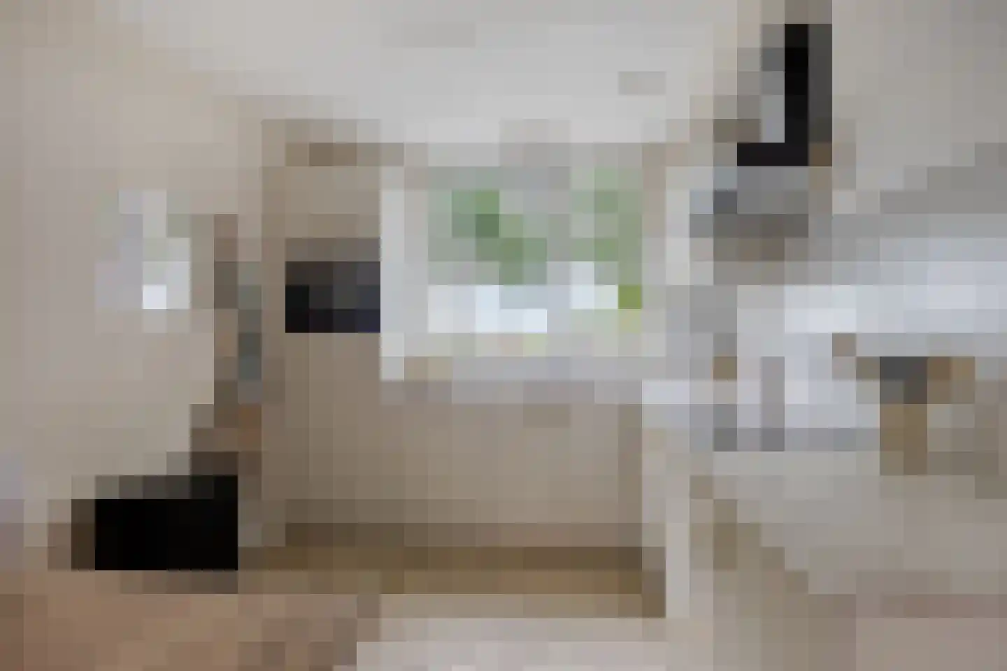 Bussenmakerstraat 3 Zwolle thumbnail 14