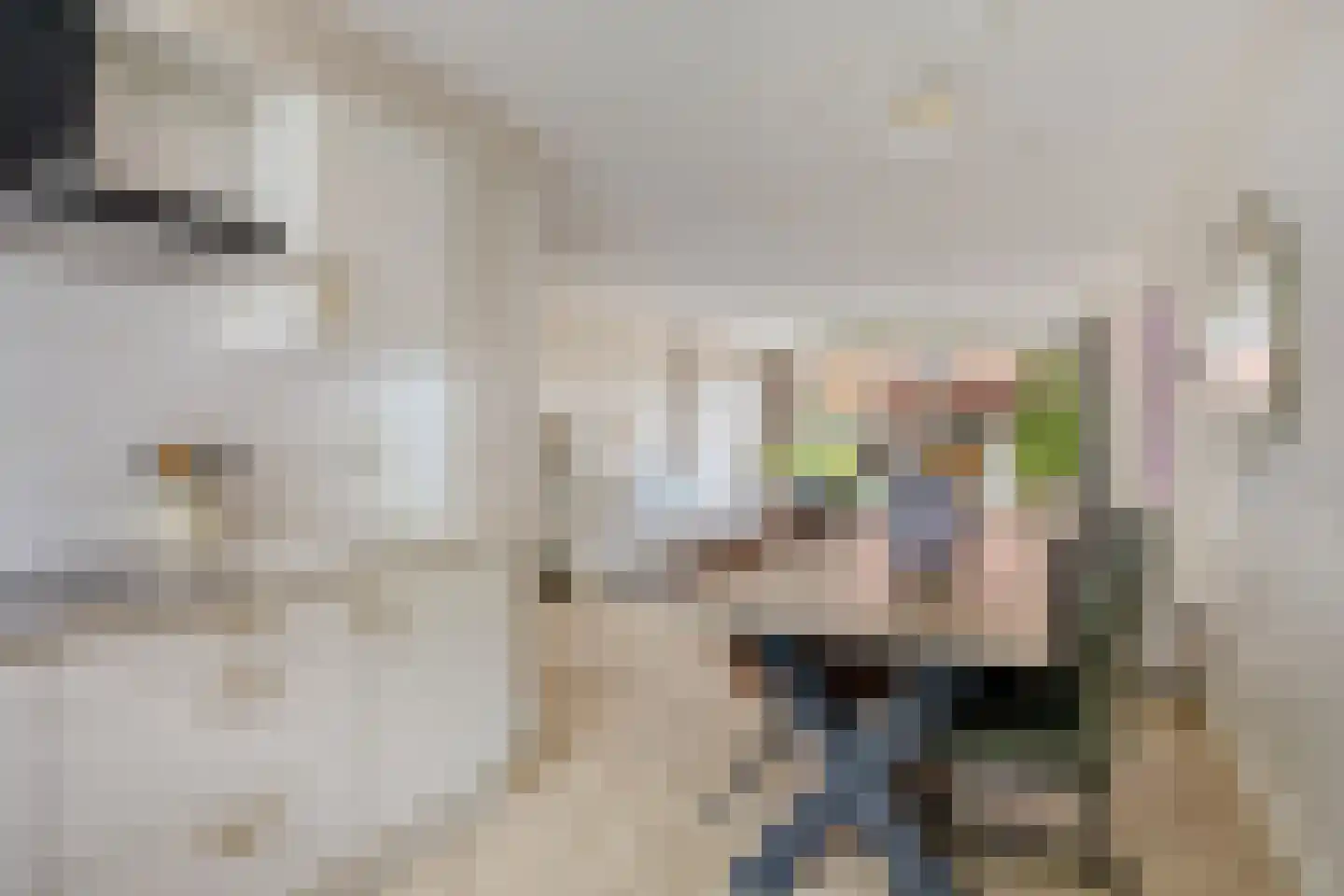 Bussenmakerstraat 3 Zwolle thumbnail 15