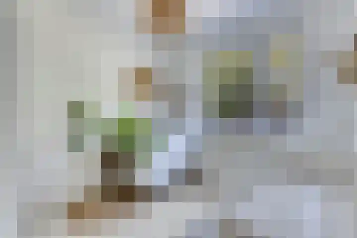 Bussenmakerstraat 79 Zwolle thumbnail 12