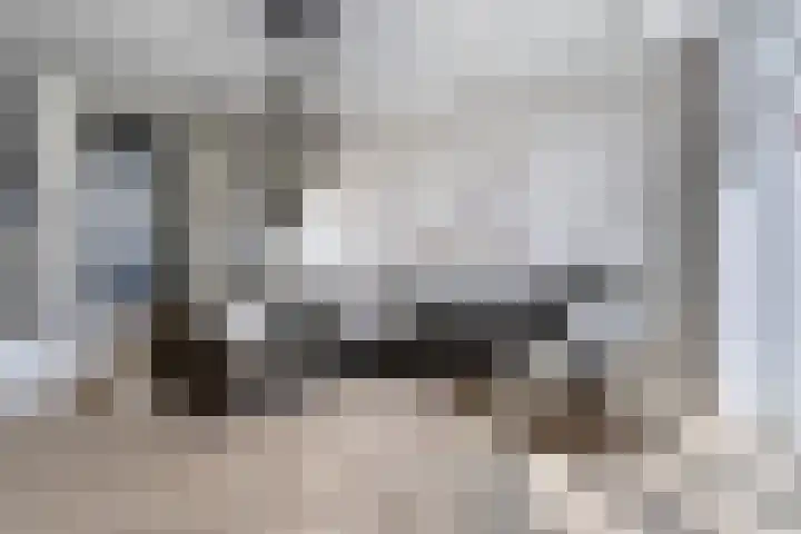 Bussenmakerstraat 79 Zwolle thumbnail 5