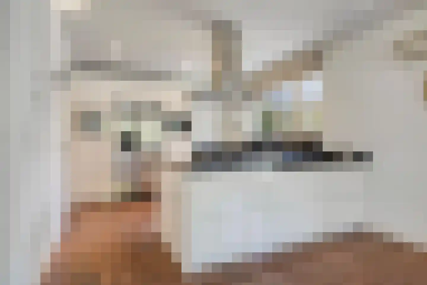 Bussereind 6 Steensel thumbnail 14