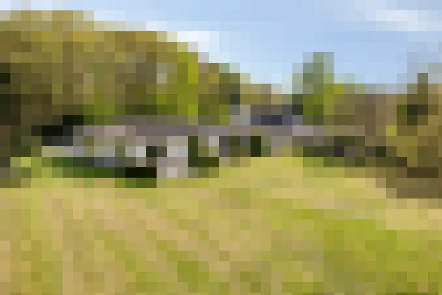 Bussereind 6 Steensel foto 2