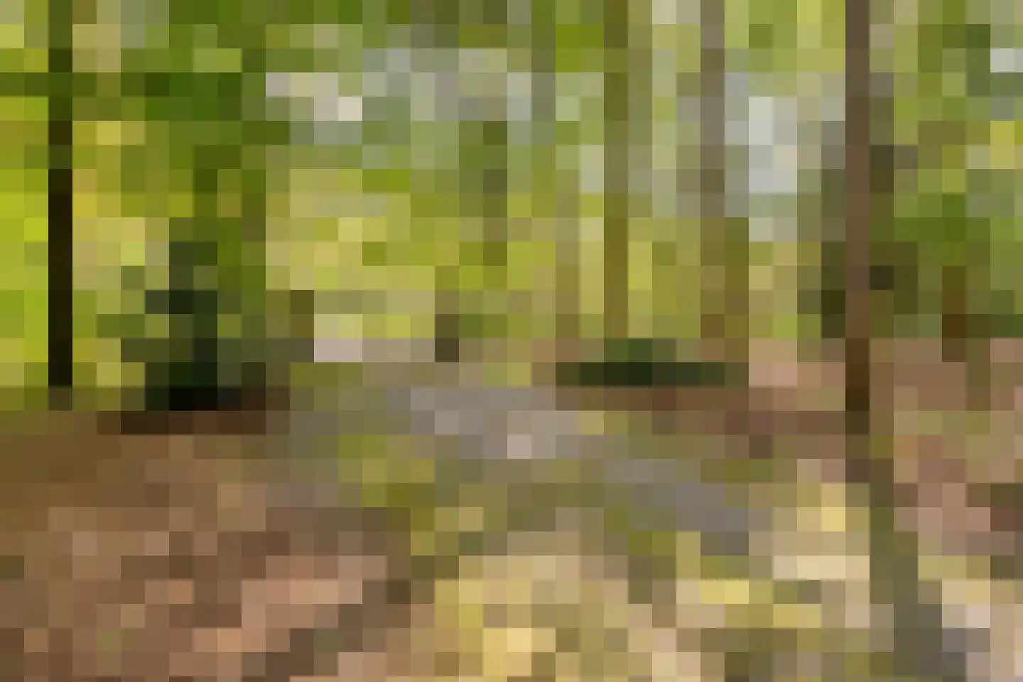 Bussereind 6 Steensel thumbnail 37