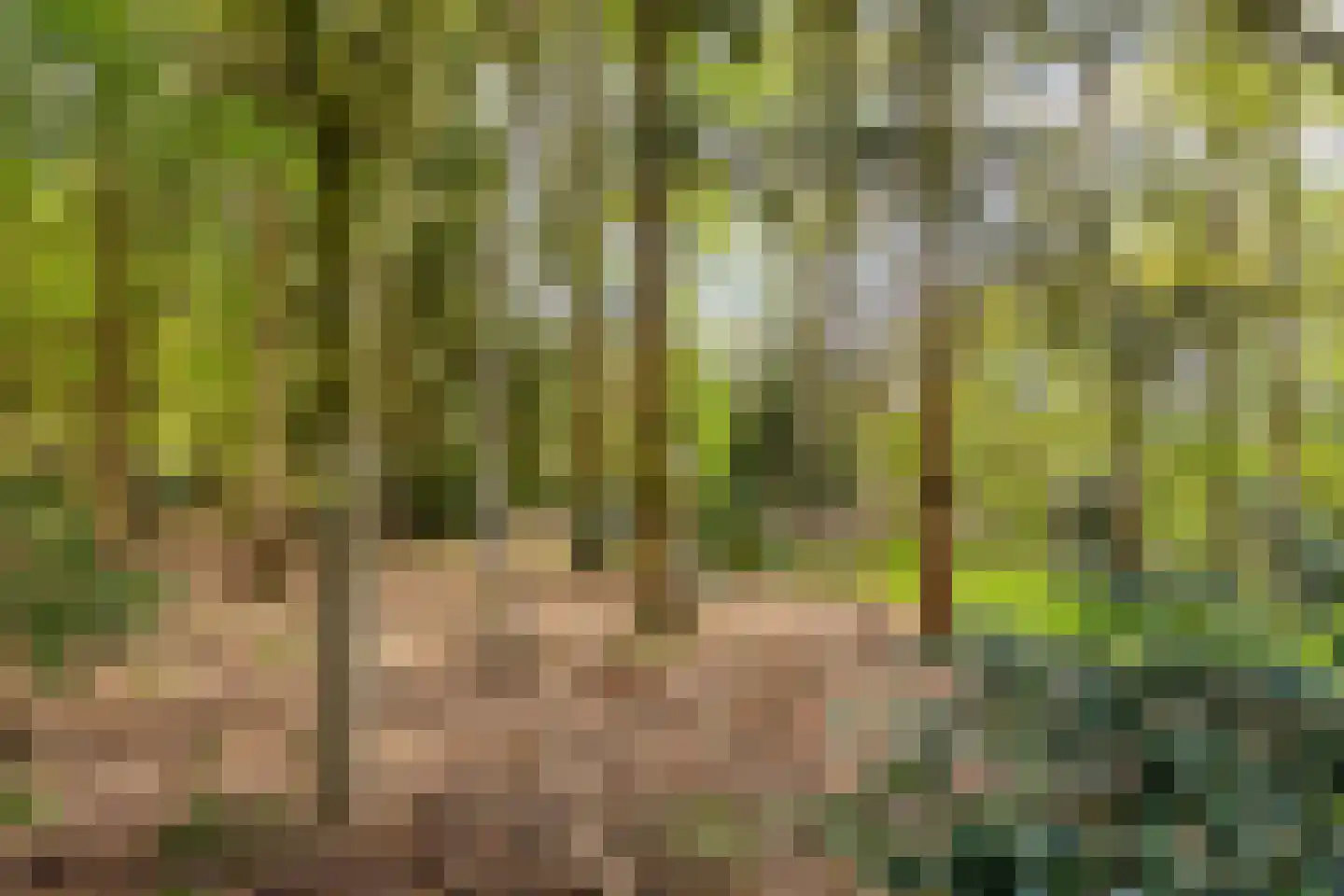 Bussereind 6 Steensel thumbnail 38