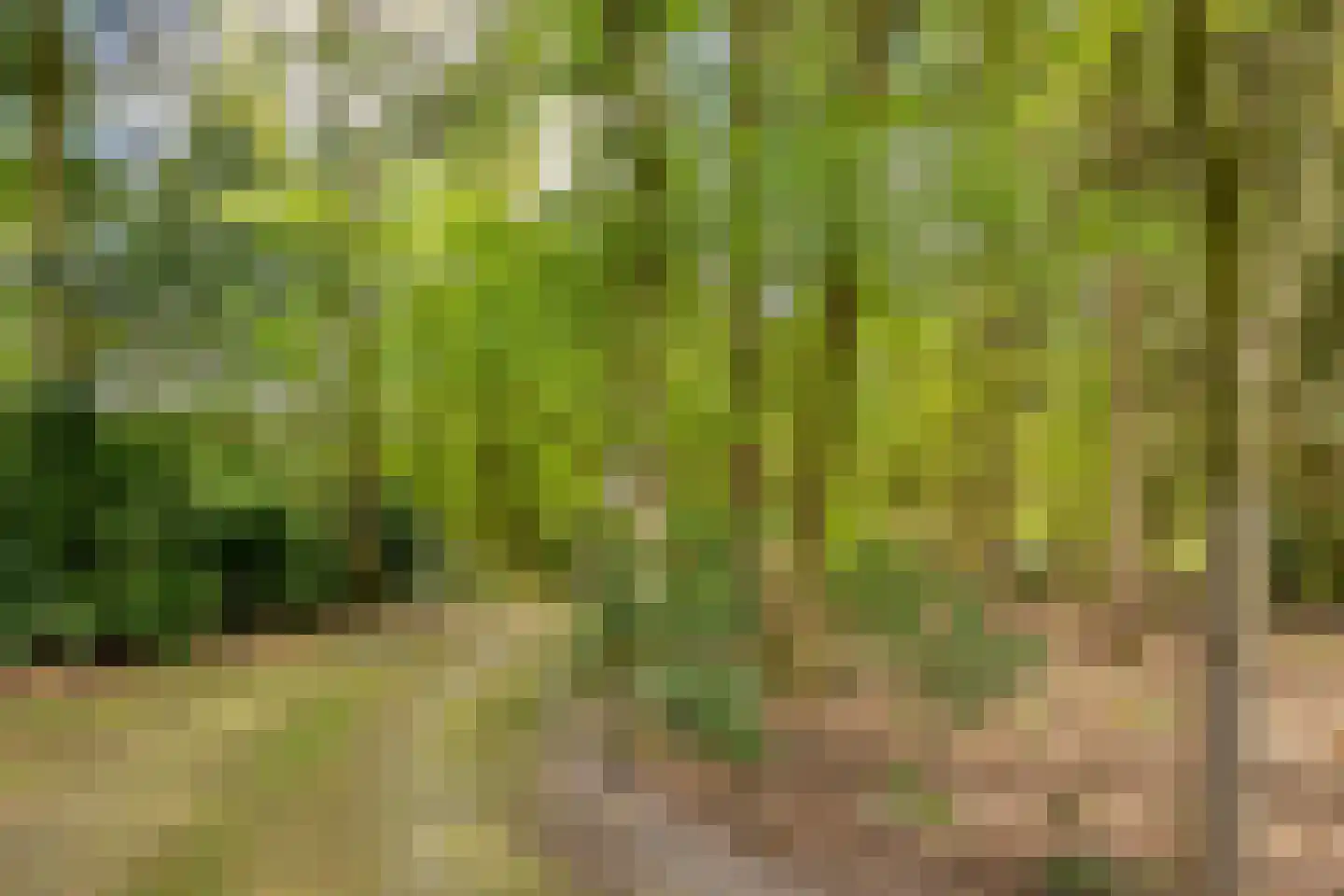 Bussereind 6 Steensel thumbnail 39