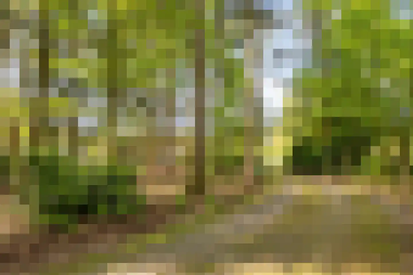 Bussereind 6 Steensel thumbnail 40