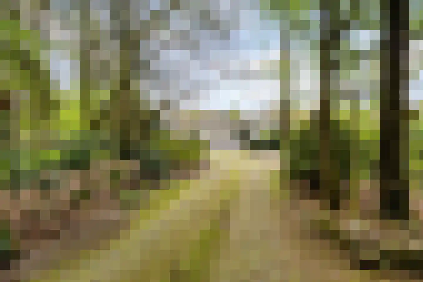 Bussereind 6 Steensel thumbnail 41