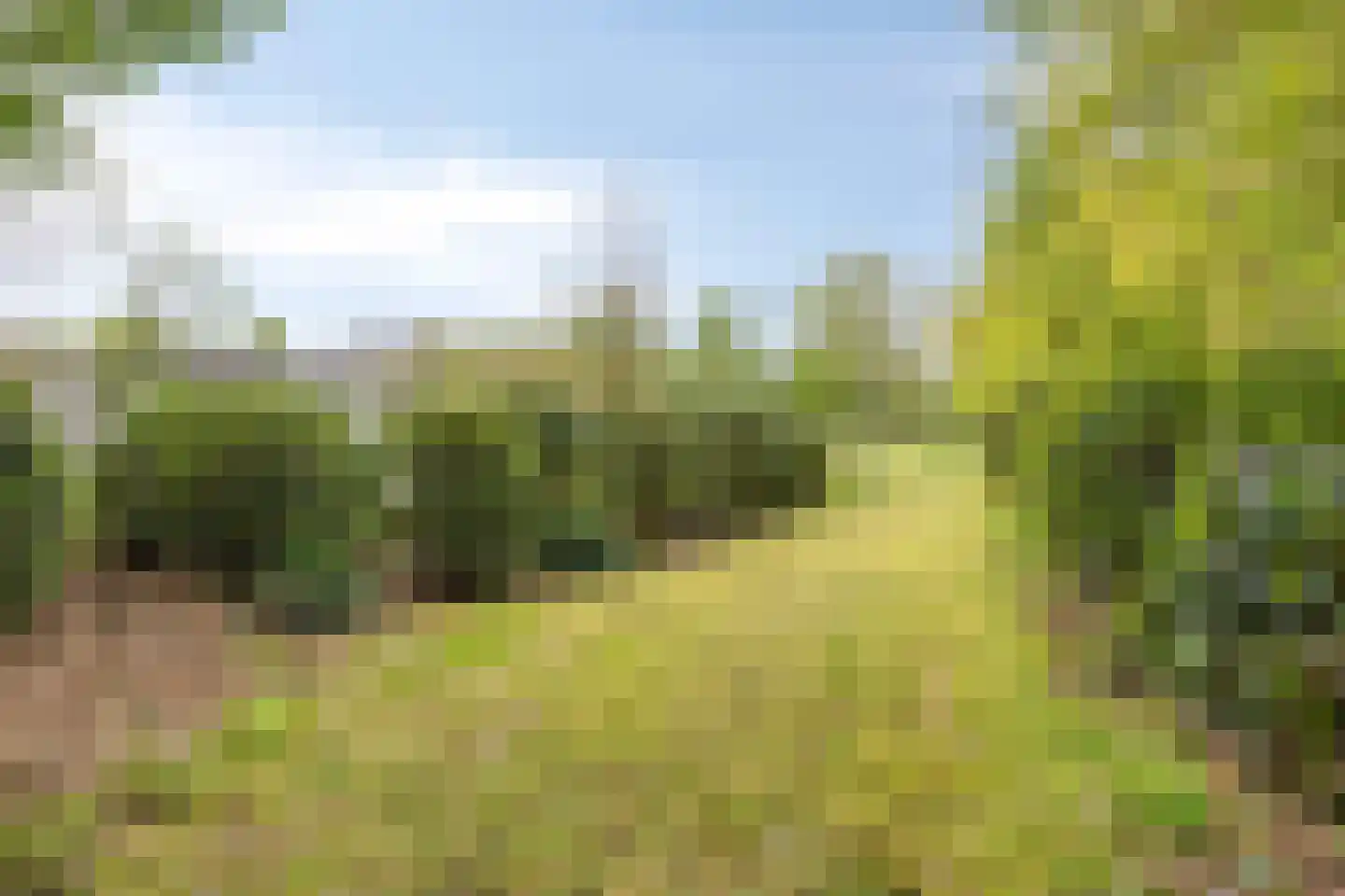 Bussereind 6 Steensel thumbnail 43
